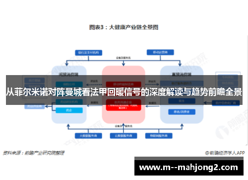 从菲尔米诺对阵曼城看法甲回暖信号的深度解读与趋势前瞻全景